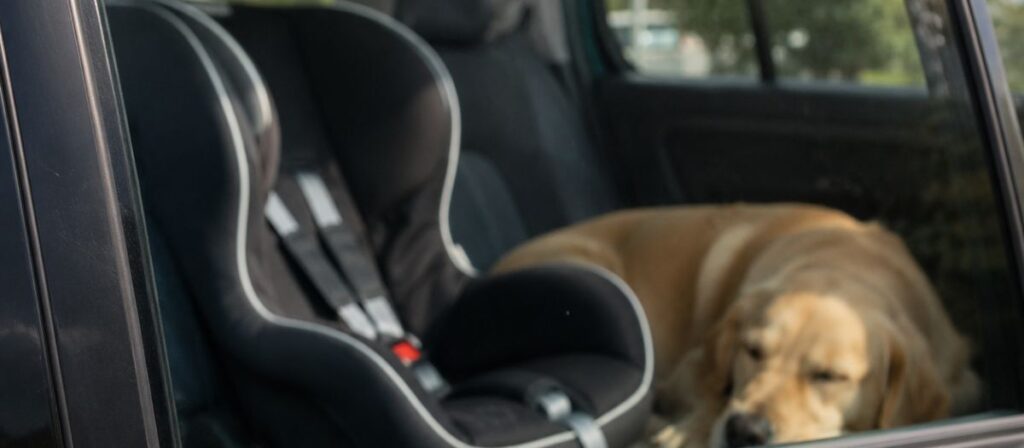 Locked keys in car in Urbana IL emergency involving a child or pet, showing when to call 911 immediately